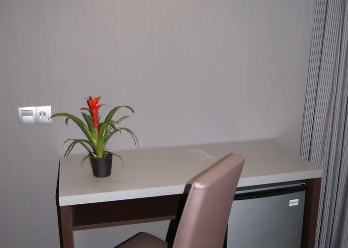 Hotel Summer 4*